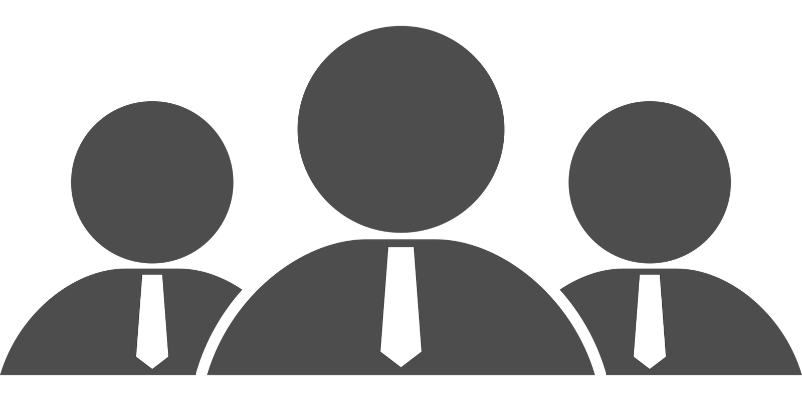 Consequatur duis adi